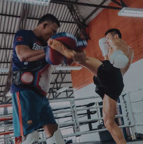Picture of fighter kicking a practice pad held by another person.